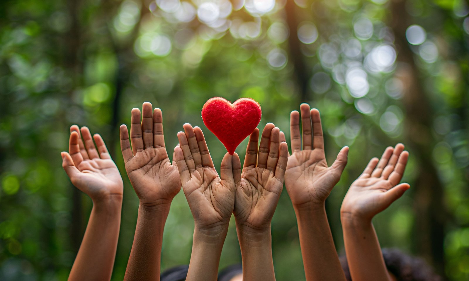 Children's hands raised together holding a red heart